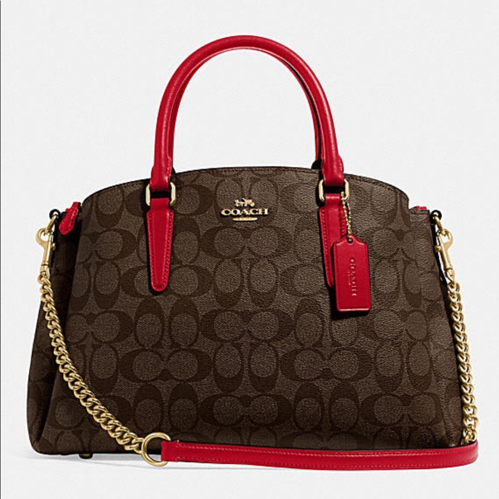 Sage Carryall in Signature C’s